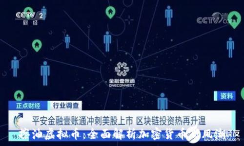   
擦油虚拟币：全面解析加密货币新风潮