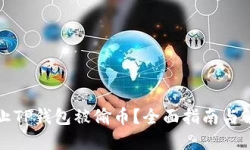 如何防止TP钱包被偷币？全面指南与解决方案