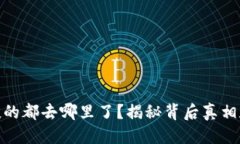 优质虚拟币空投的都去哪