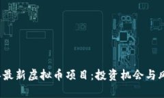 2023年最新虚拟币项目：投