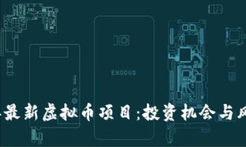 2023年最新虚拟币项目：投资机会与风险分析