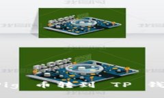 如何查询从 Pig 币转到 T