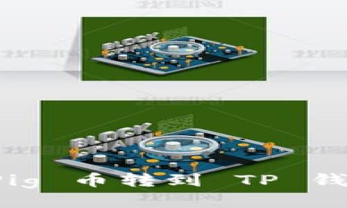 如何查询从 Pig 币转到 TP 钱包的交易记录
