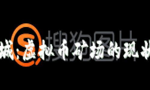 江苏盐城：虚拟币矿场的现状与未来