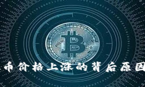 虚拟币价格上涨的背后原因分析