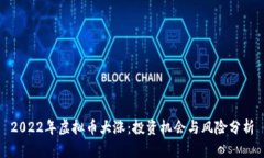2022年虚拟币大涨：投资机