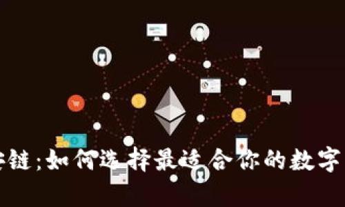 TP钱包与币安链：如何选择最适合你的数字货币存储方案