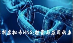 全面解析虚拟币HNS：投资