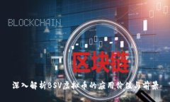 深入解析BSV虚拟币的应用
