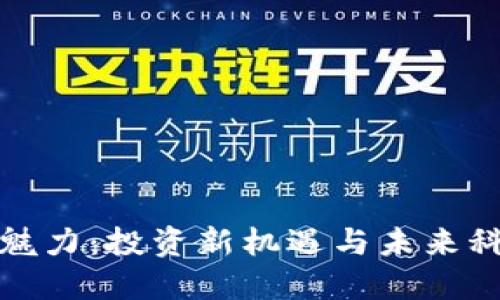 虚拟币的魅力：投资新机遇与未来科技的结合