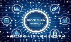 币圈TP1是什么？深入解析