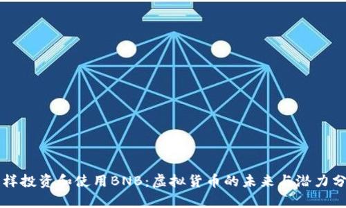 怎样投资和使用BNB：虚拟货币的未来与潜力分析