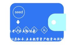 思考一个且的优质VDR虚拟