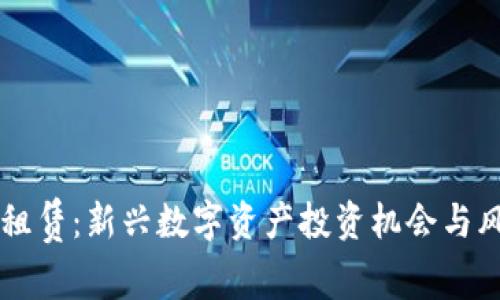 虚拟币租赁：新兴数字资产投资机会与风险分析