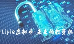深入解析Liple虚拟币：未来