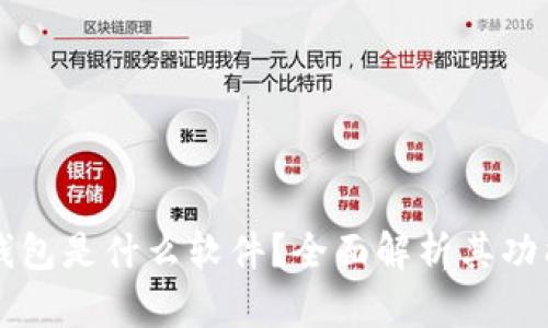 虚拟币钱包是什么软件？全面解析其功能与种类
