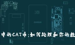TP钱包中的CAT币：如何处理