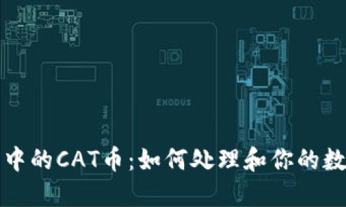 TP钱包中的CAT币：如何处理和你的数字资产
