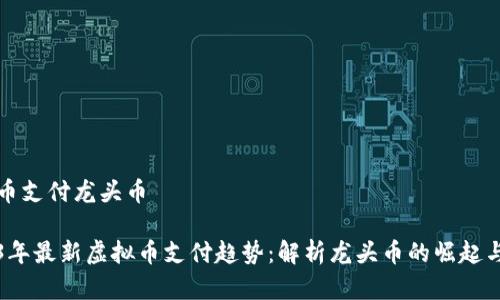 虚拟币支付龙头币

2023年最新虚拟币支付趋势：解析龙头币的崛起与未来