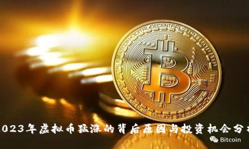 2023年虚拟币猛涨的背后原因与投资机会分析
