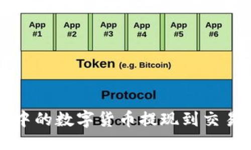 优质  
如何将TP钱包中的数字货币提现到交易所的详细指南
