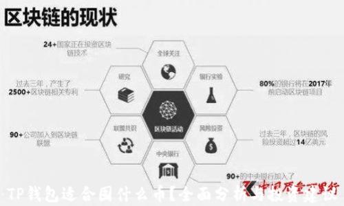 
TP钱包适合囤什么币？全面分析与投资建议