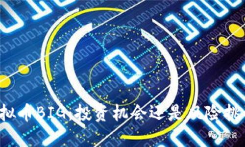 虚拟币BIG：投资机会还是风险挑战？